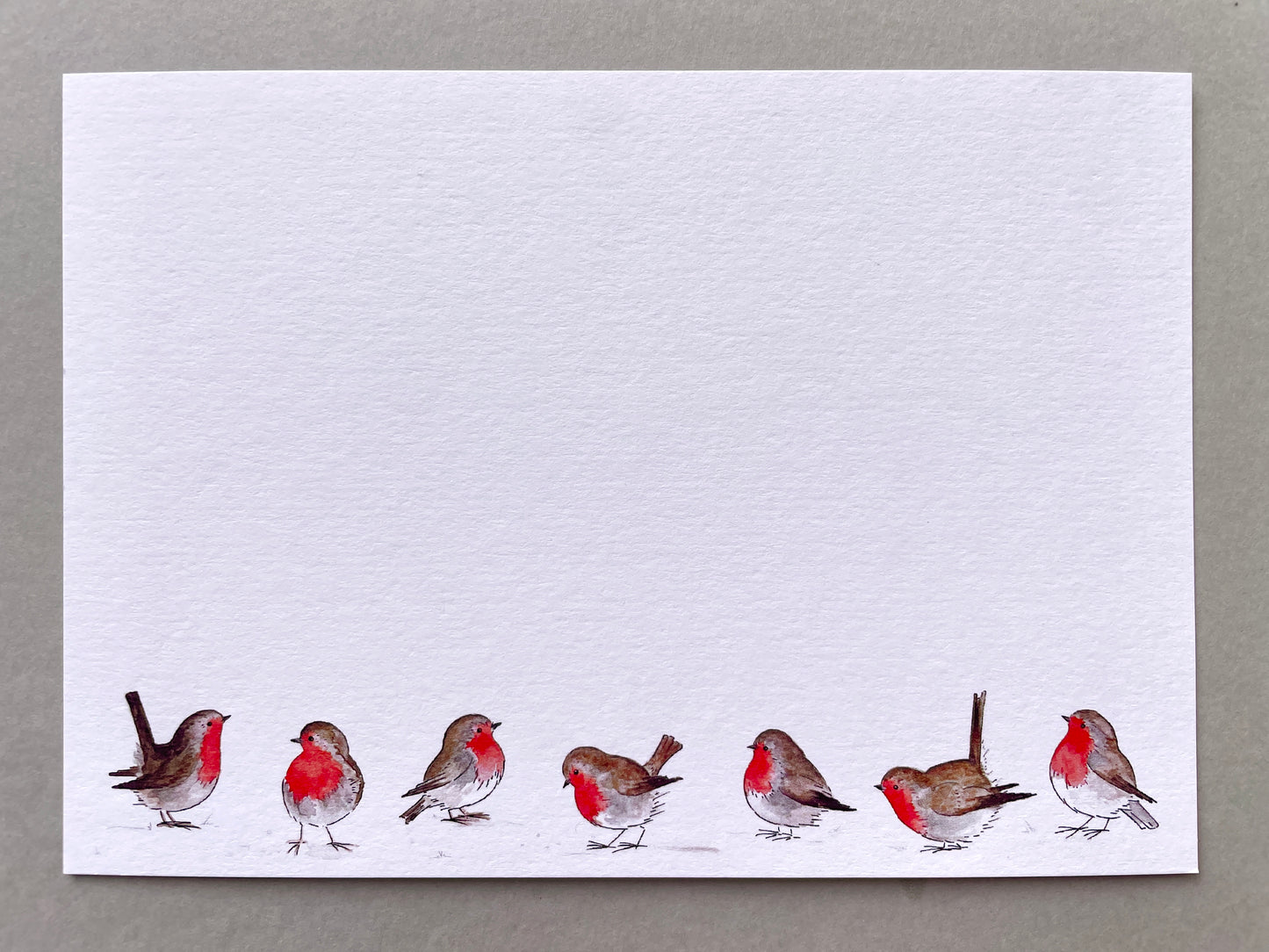 Robins in Snow