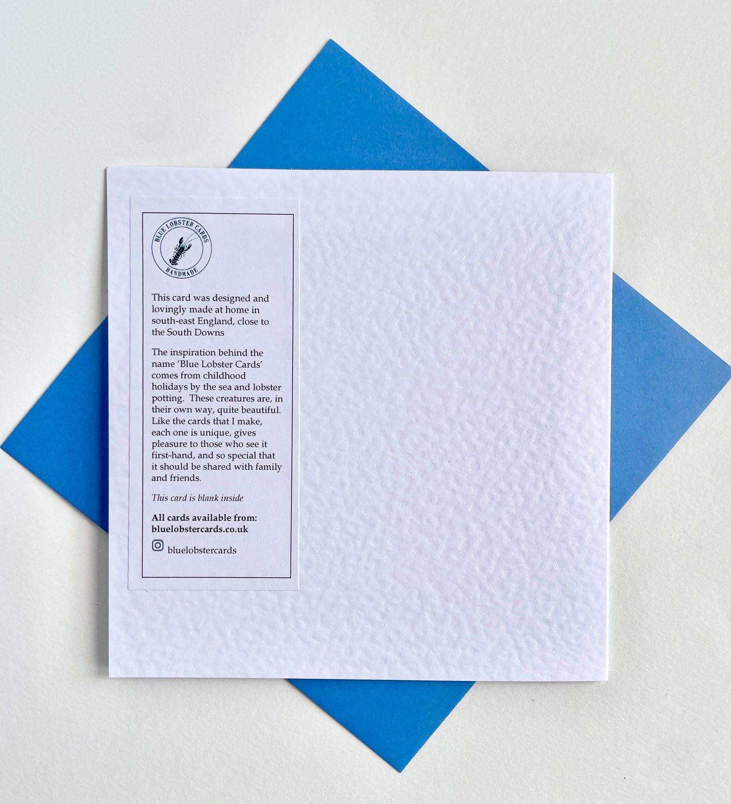 Blue Dragonfly with Shimmering Wings