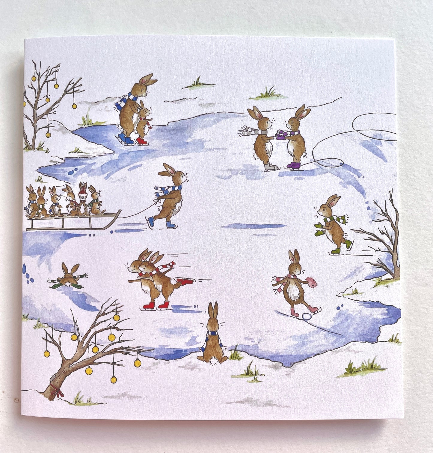 Skating Bunnies