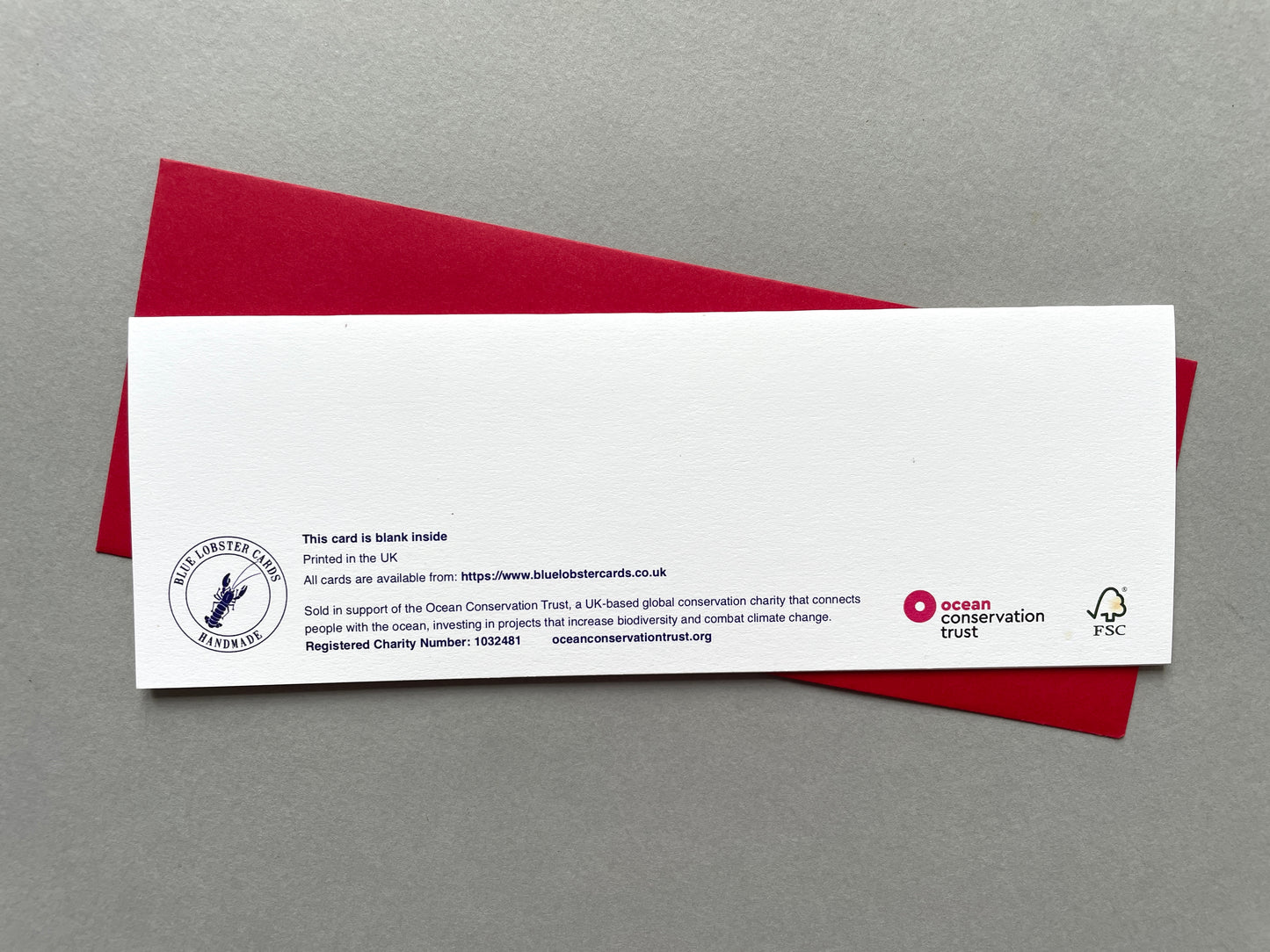 Christmas Dog Sleigh - Charity Christmas Pack