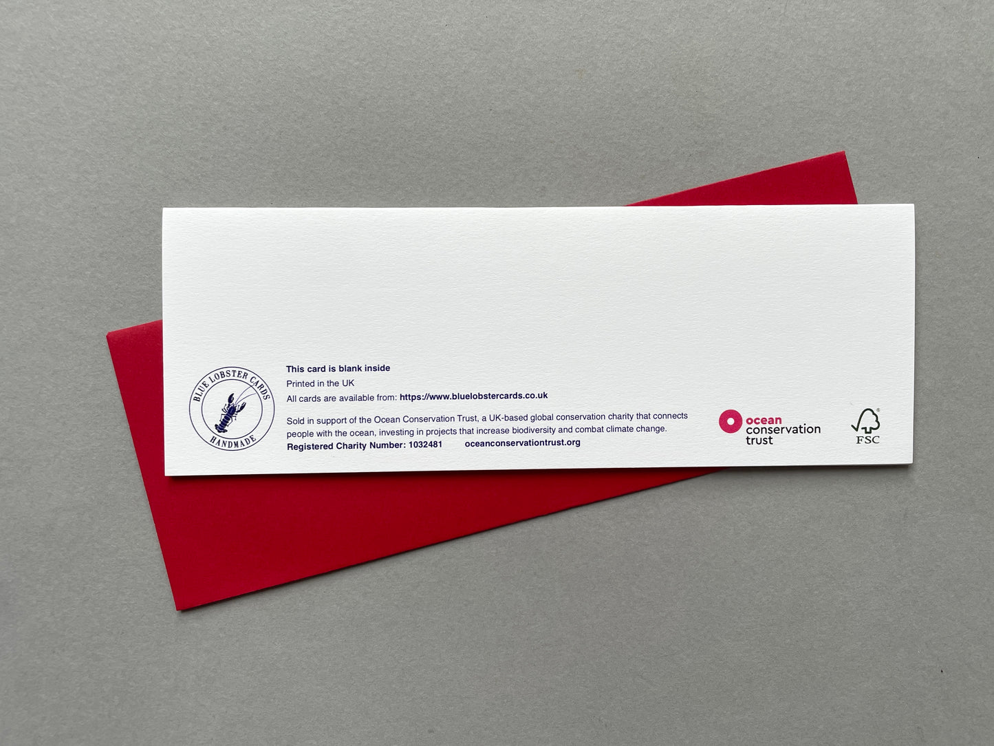 5 Assorted Charity Christmas Cards - Watercolour Art Illustrations