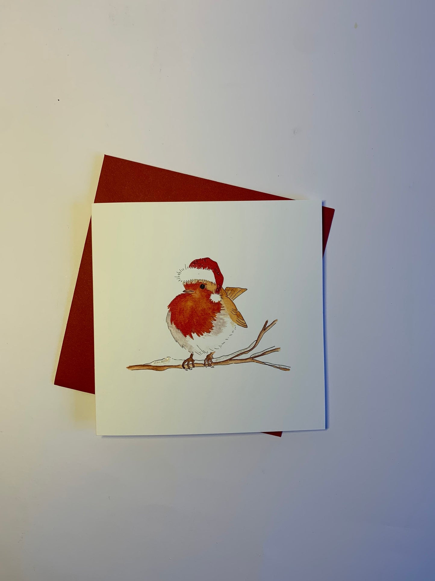 Robin’s Hat - Charity Christmas Pack