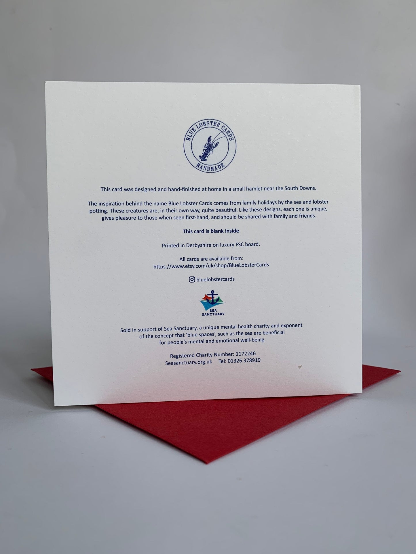 OWL & CHRISTMAS STOCKING - SINGLE CARD