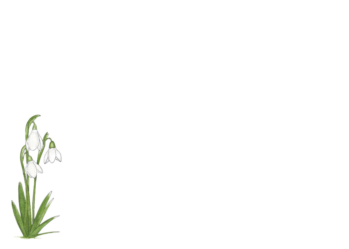 Snowdrop Note Card Stationery Set - Original Watercolour Illustration