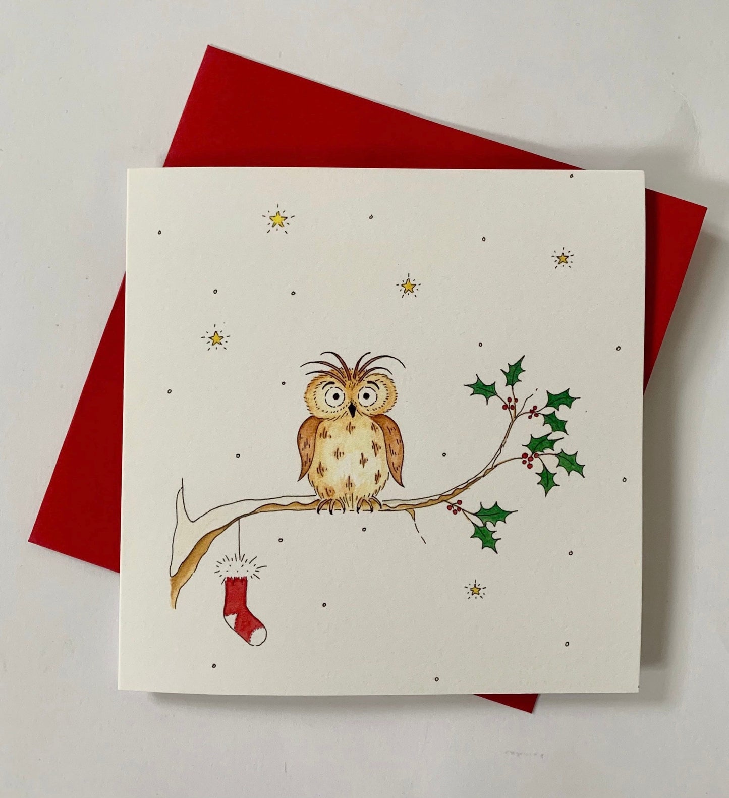 Owl's Christmas Stocking - Charity Christmas Pack