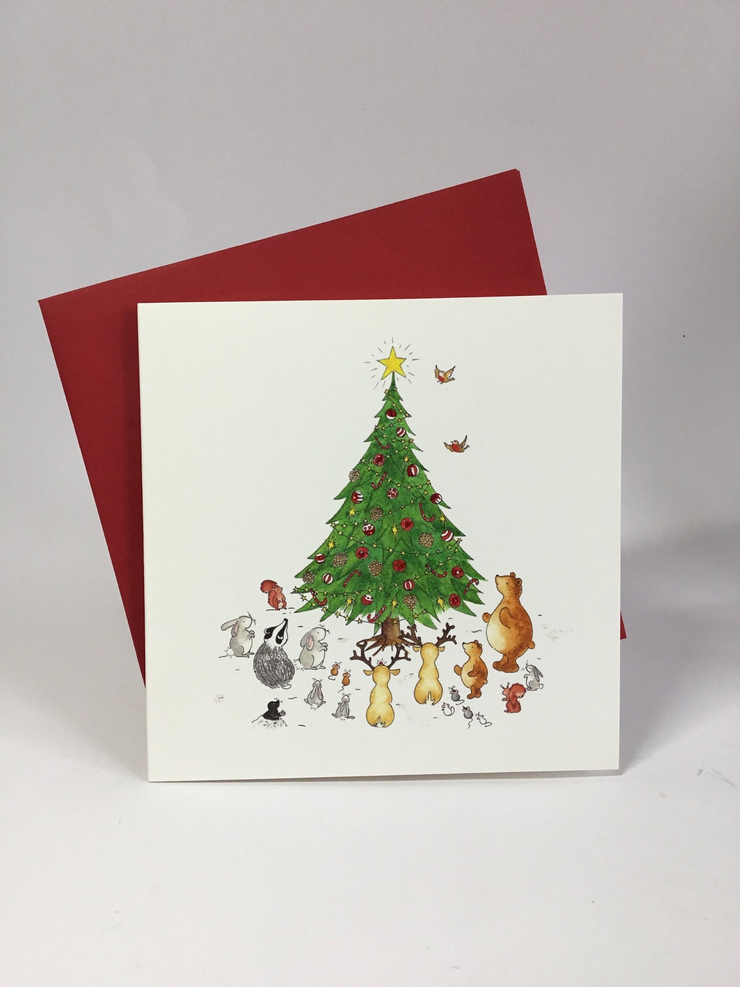 Mixed Charity Christmas Cards (A) - Charity Christmas Pack