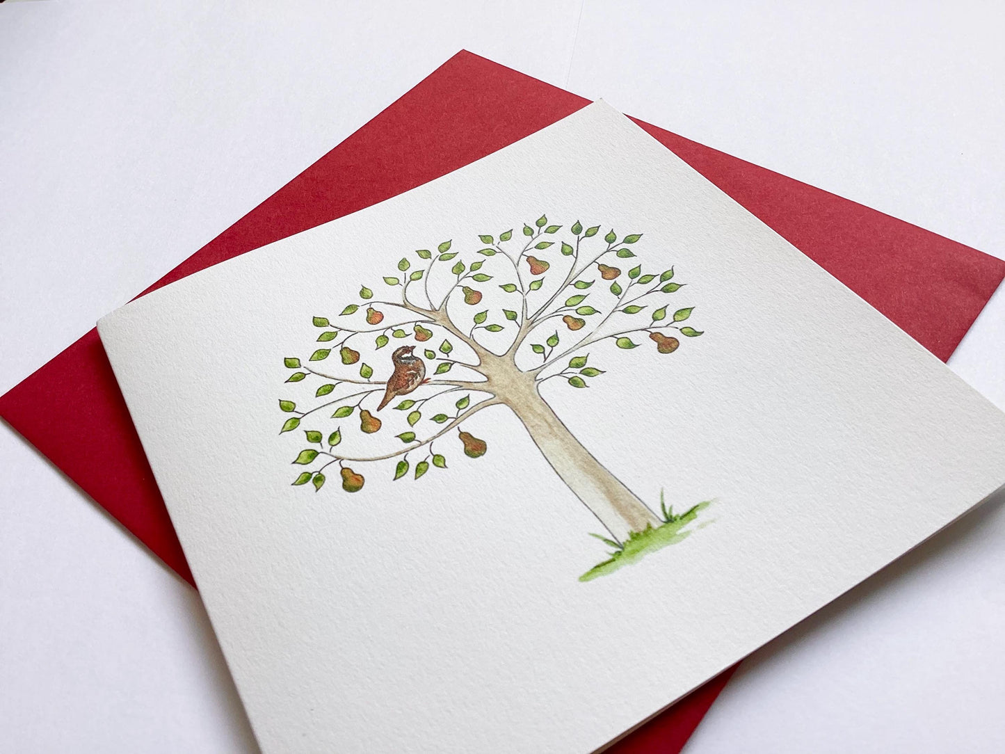 Partridge in a Pear Tree - Charity Christmas Pack