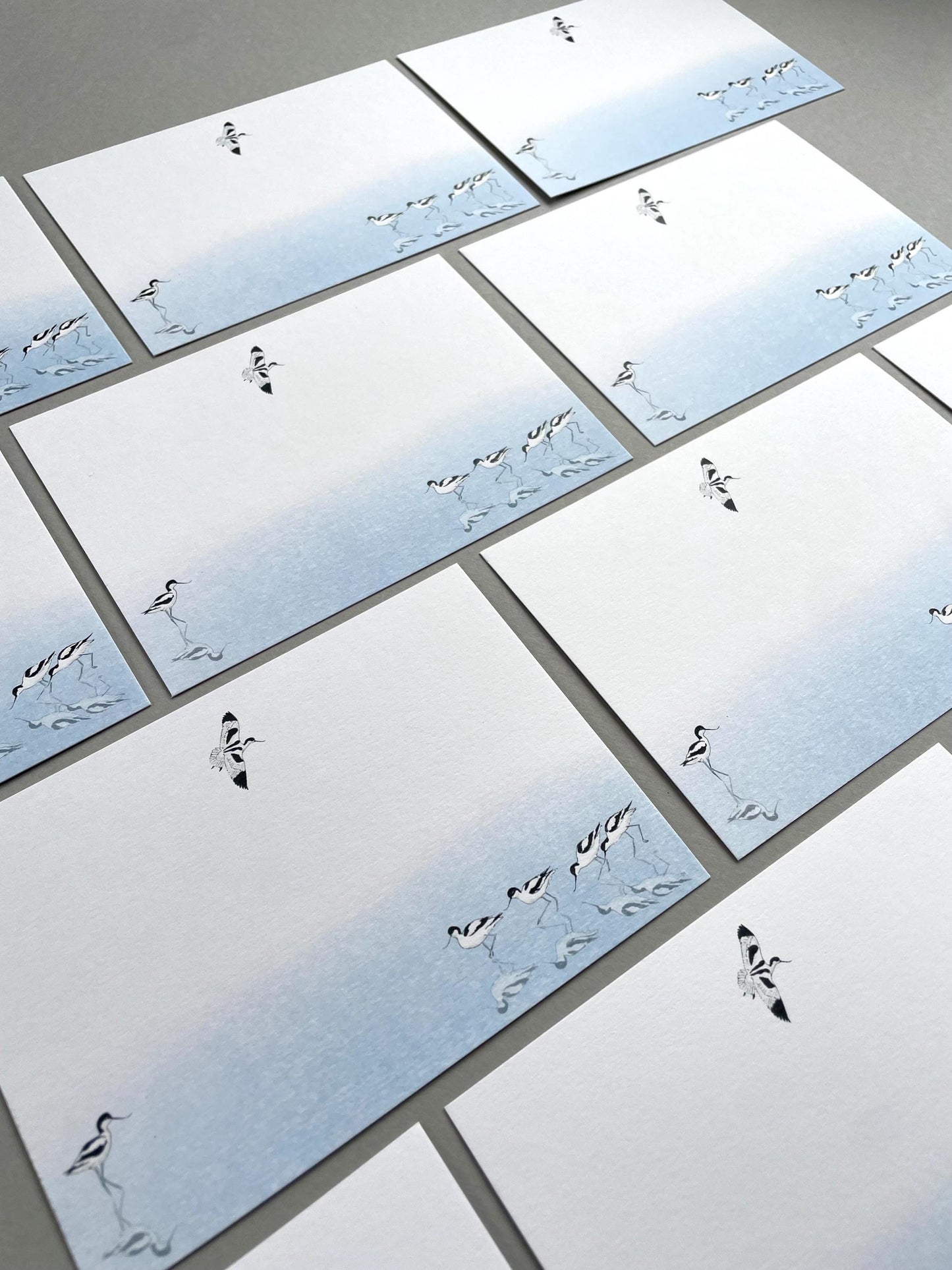 Avocet Note Card Stationery