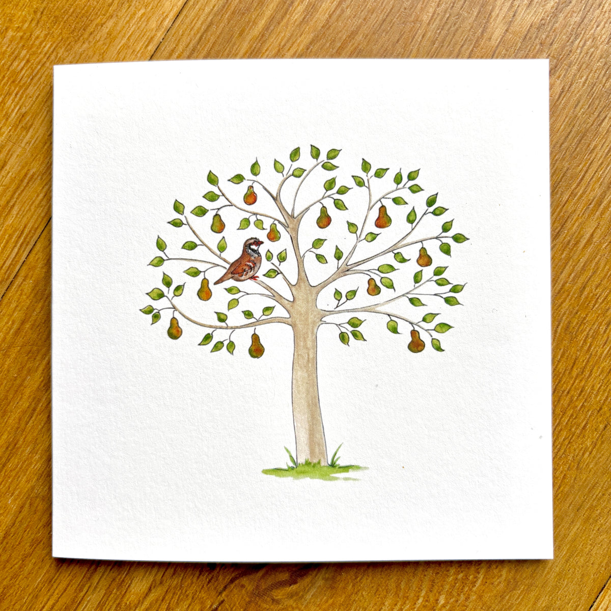 Mixed Charity Christmas Cards (B) - Traditional Watercolour Illustrations