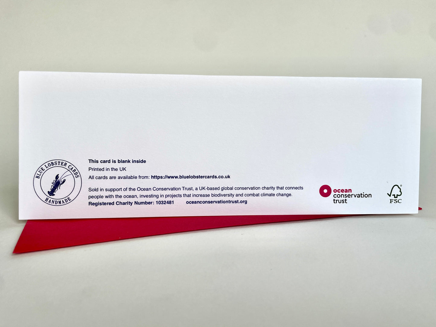 Woodland Animals Build a Snowman - Charity Christmas Pack