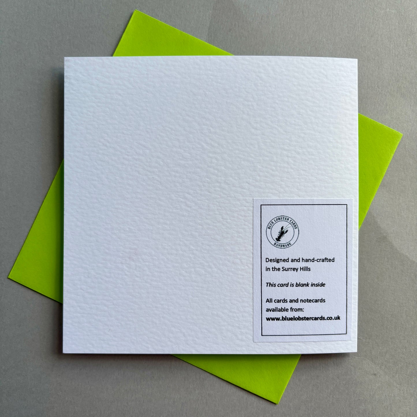 Hand Painted Bicycle Card with Quilled 3D Paper Tulips