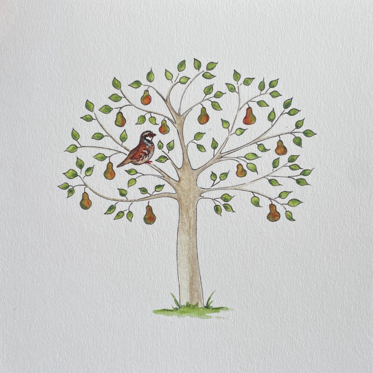 Showing detail of my own original watercolour artwork together with fine-quality 300gsm cardstock