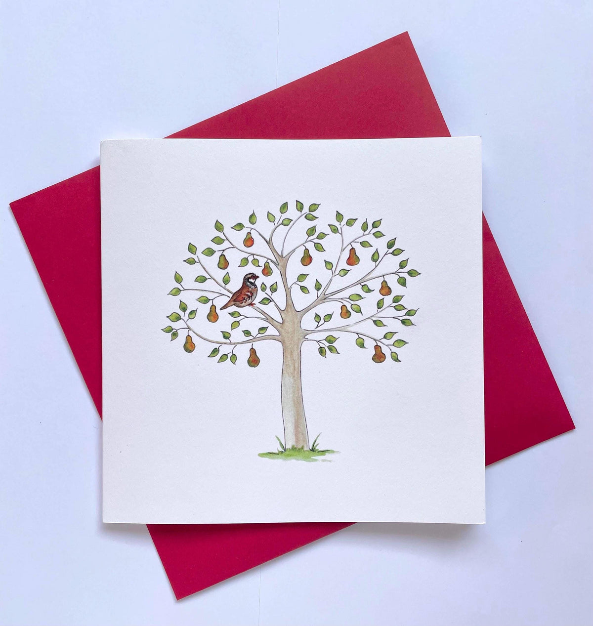 Partridge in a Pear Tree illustration of fine quality Christmas cards with Christmas red envelopes