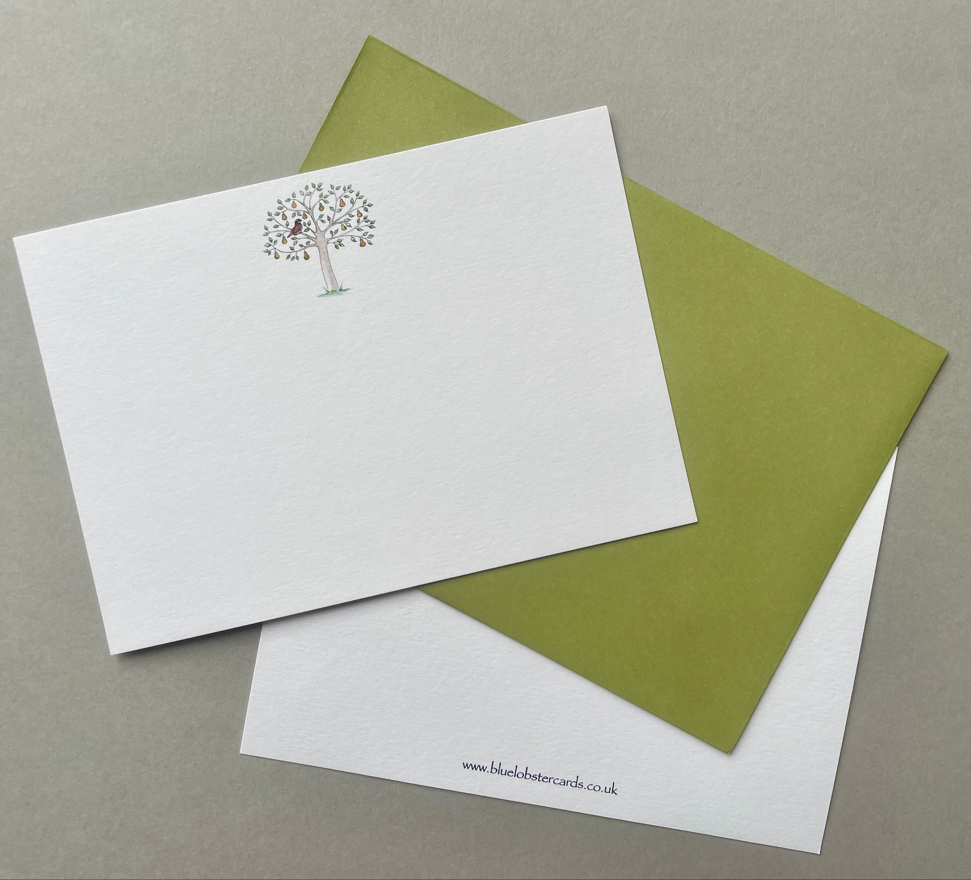 Pack of 6 or 10 Partridge in a Pear Tree Christmas notecards with coloured envelopes, presented in a recyclable Blue Lobster Cards belly band.