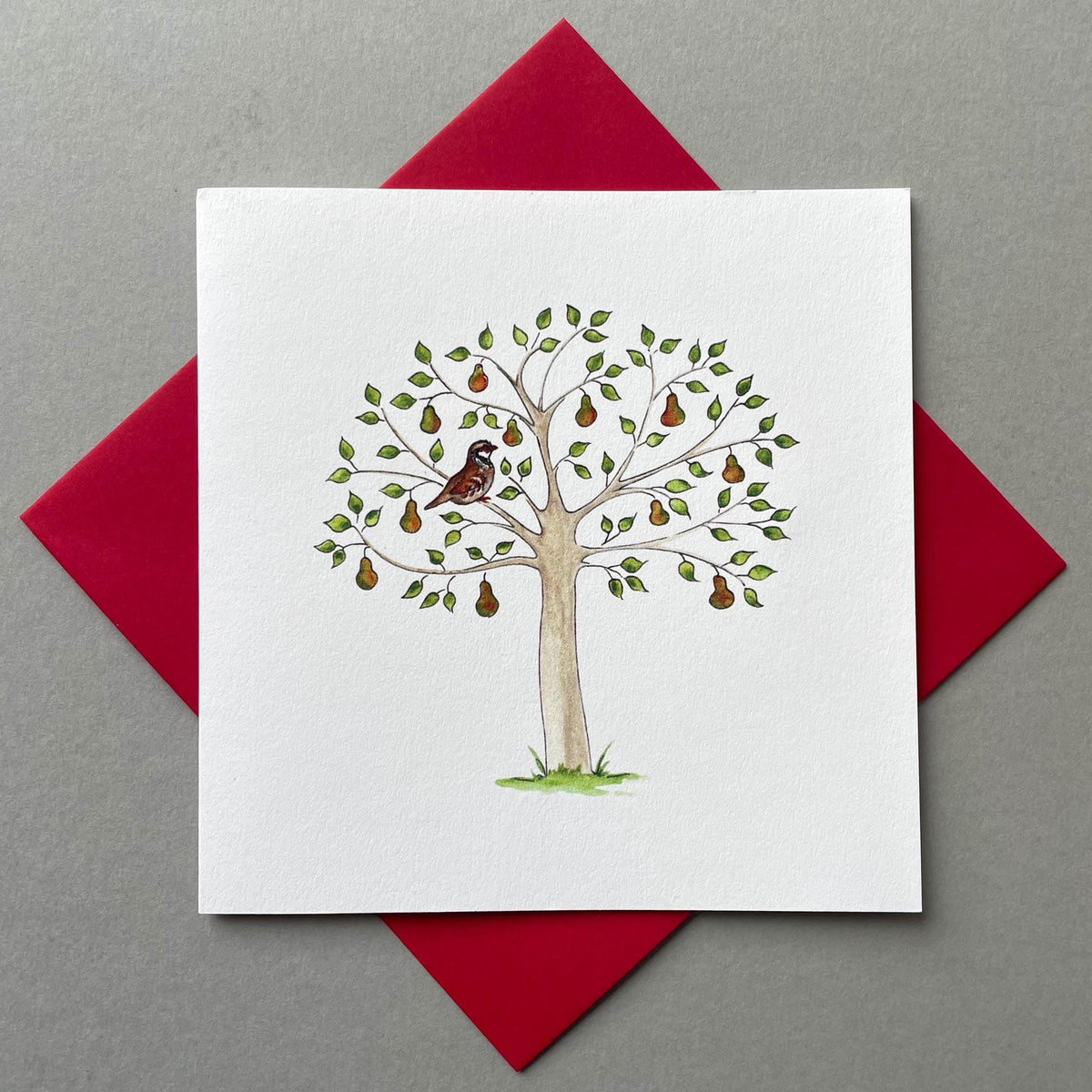 A traditonal charity Christmas card featuring a hand-painted watercolour design of a partridge in a pear tree, with red envelope.