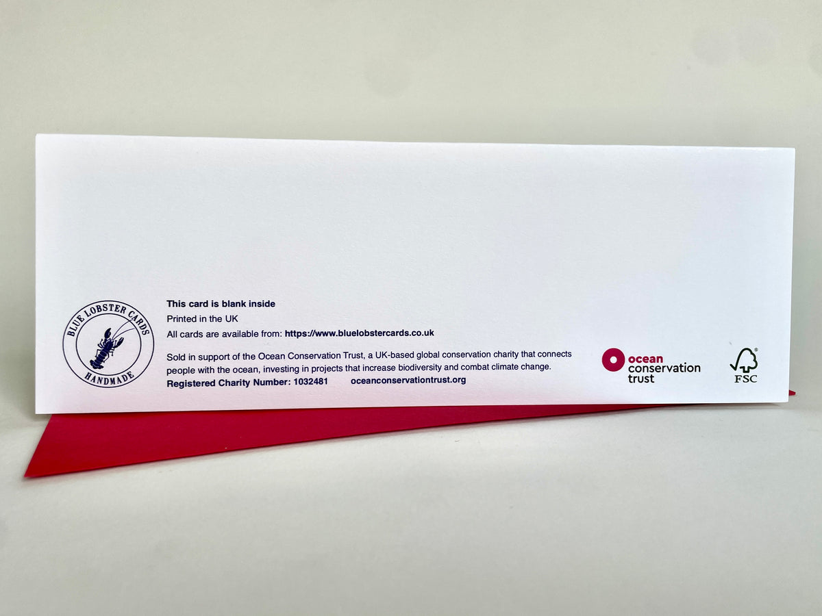 Back of long slim Christmas card with Blue Lobster Cards branding, Ocean Conservation Trust support details, FSC logo and blank-inside information