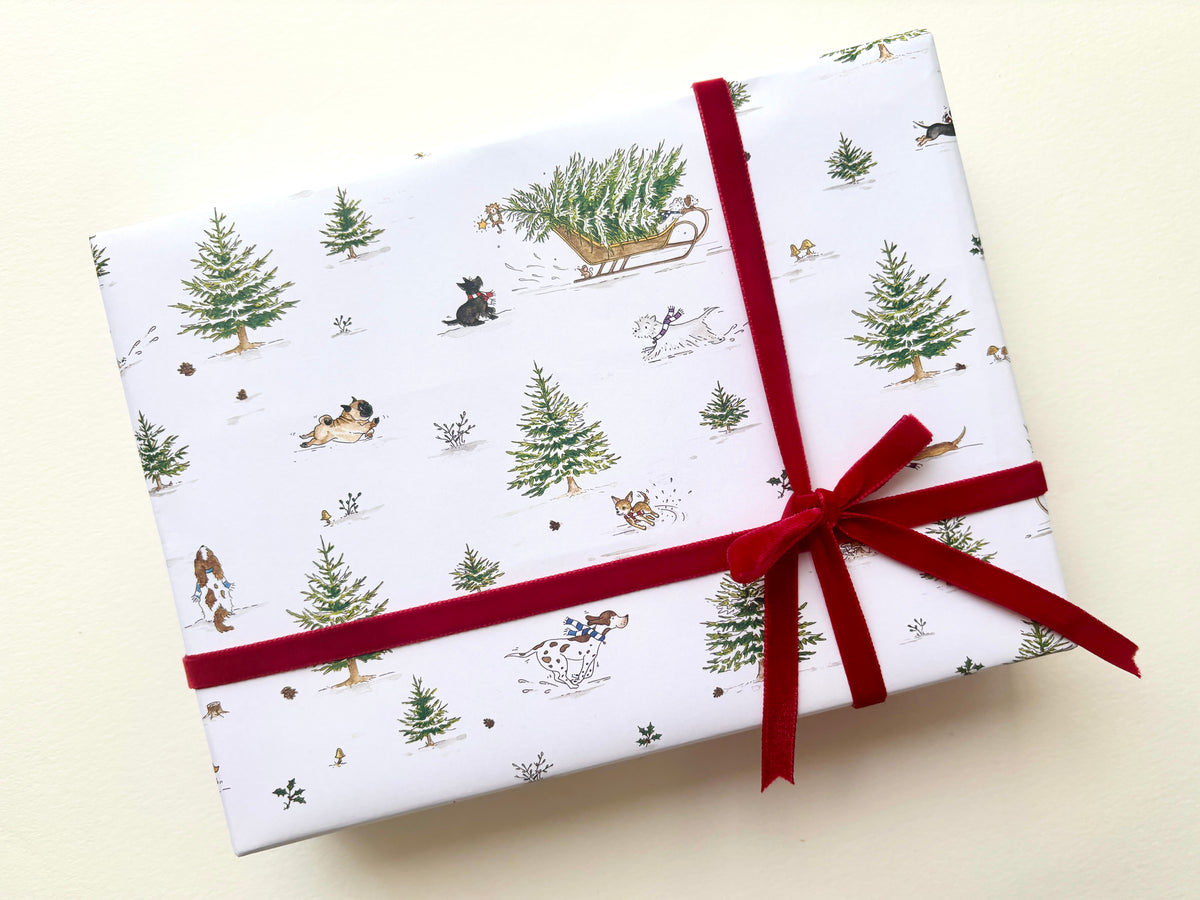 A square gift box wrapped in Dog Christmas-themed paper featuring illustrated evergreen trees, dogs, and sledding scenes, tied with a red ribbon and bow on a white snowy background.