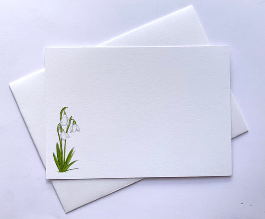Snowdrops